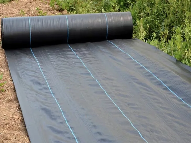 Tongfu Eco-Materials lancia un tessuto barriera contro le erbacce biodegradabile ad alte prestazioni