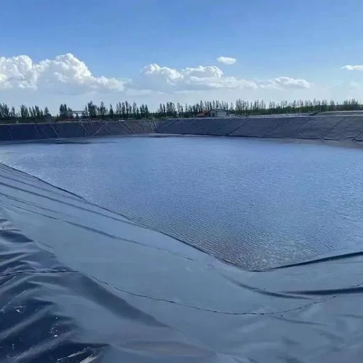 Geomembrana per stagno per pesci di acquacoltura