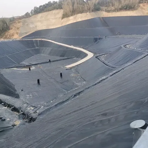 Rivestimento in geomembrana