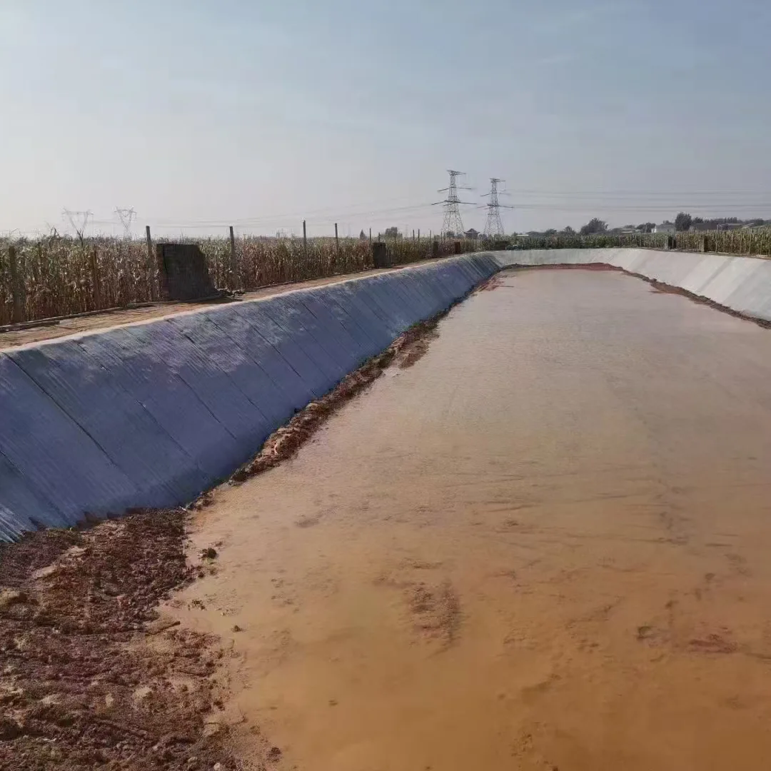 Coperta di cemento per laghetto per pesci