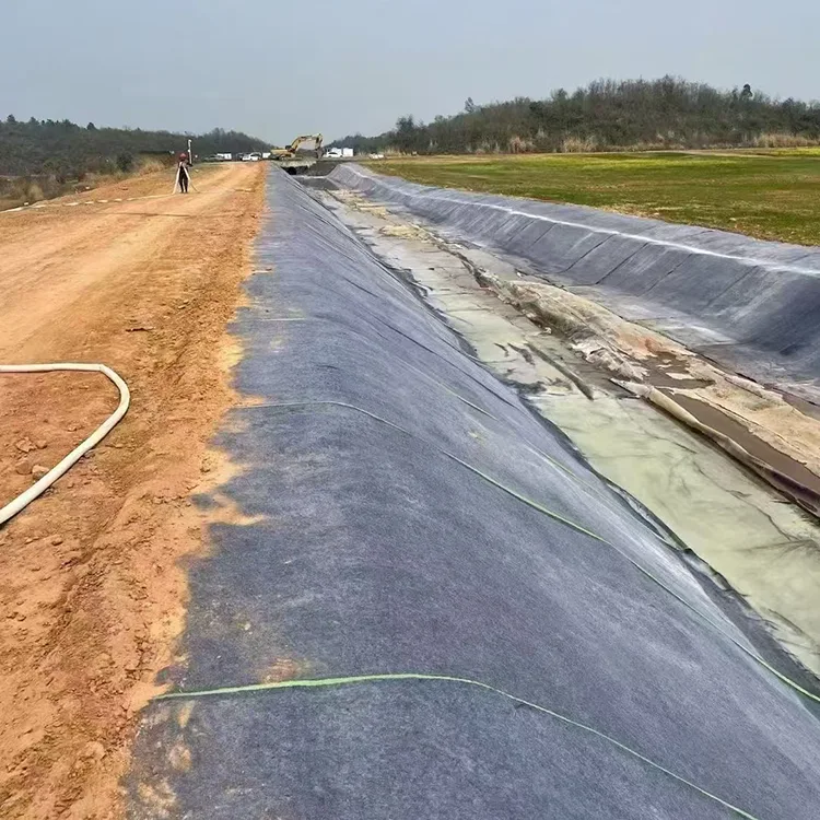 Coperta di cemento per stagno di acquacoltura