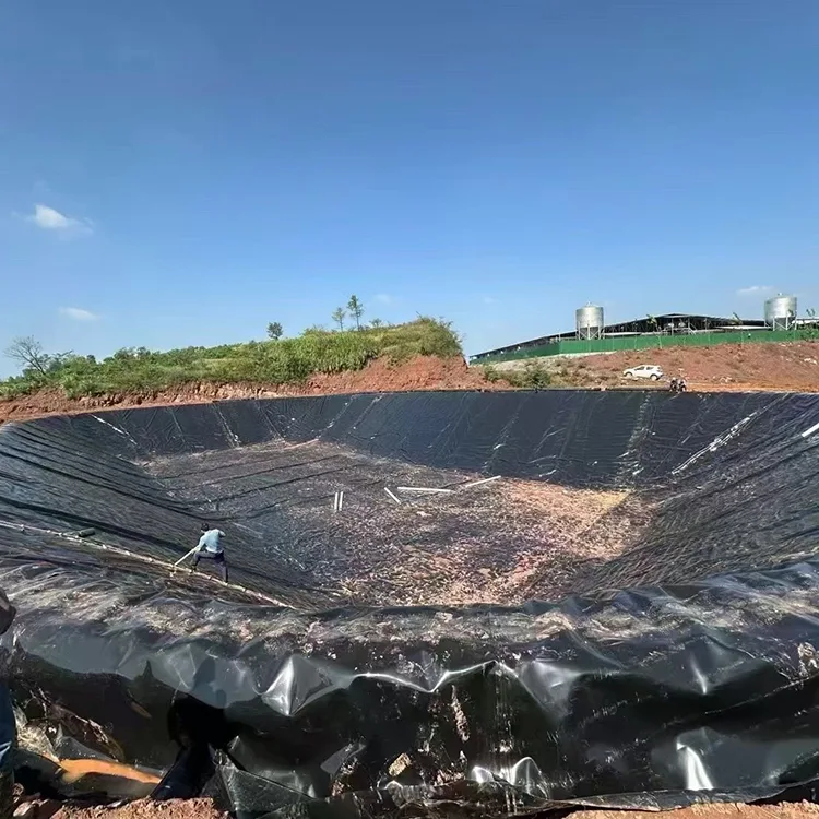 Geomembrana artificiale del lago
