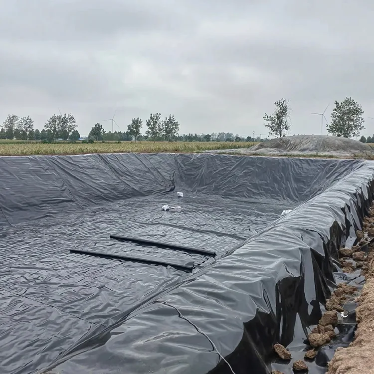 Geomembrana per digestore di biogas
