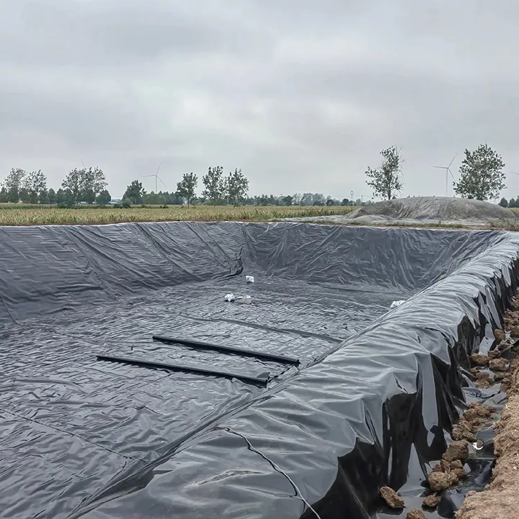 Rivestimento in geomembrana per laghetto per pesci
