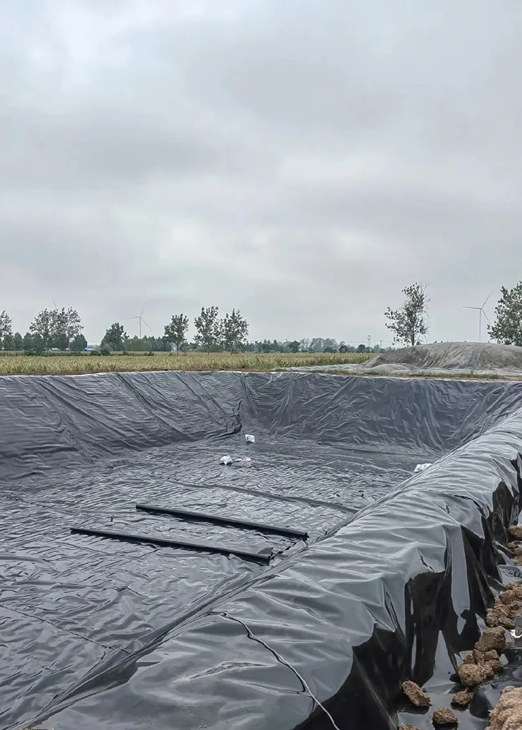 Artificial Lake Geomembrane